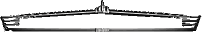 FUJI W1